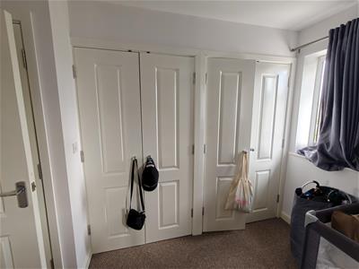 Picture 12